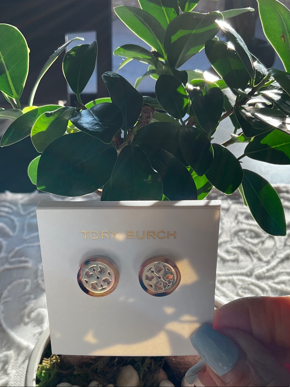Tory Burch Browns & Gold Logo Stud Earrings